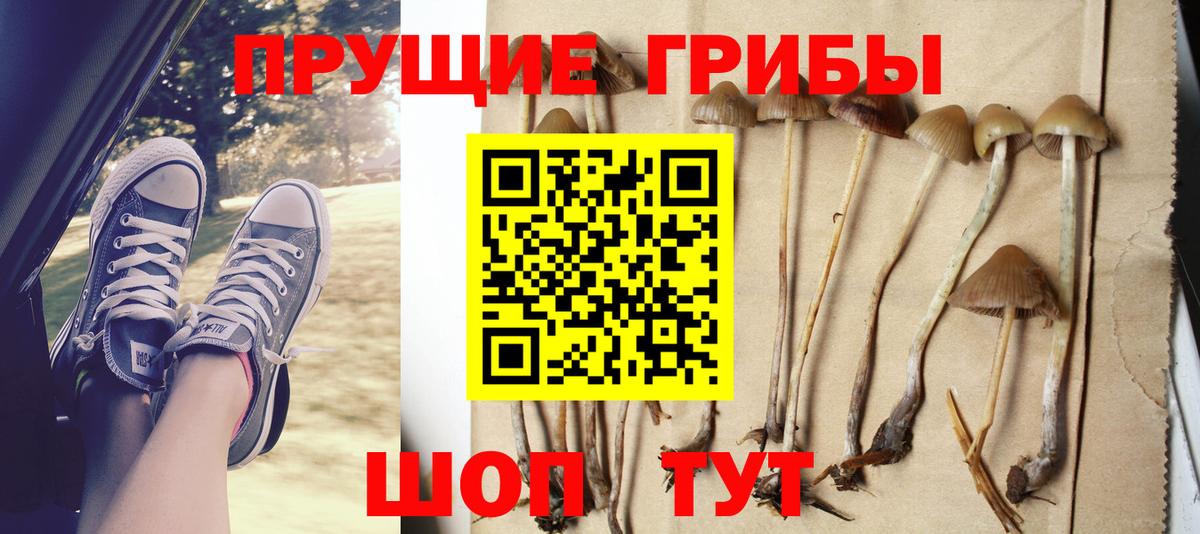 Псилоцибиновые грибы ЛСД Мелеуз